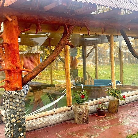 Casa Marinca 호텔 Ocna Şugatag 외부 사진