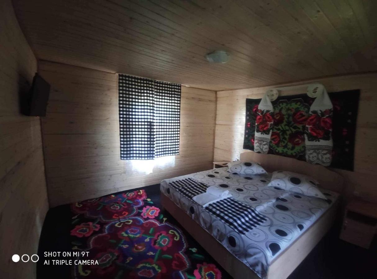 Casa Marinca 호텔 Ocna Şugatag 외부 사진